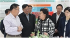 市委副書記、代市長(zhǎng)艾麗華來我公司考察、調(diào)研